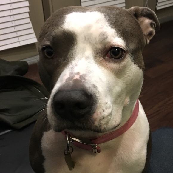 Meet your Posher, Ray - Picture 1 of 1